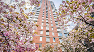 Apartment Building Going Co Op nyc condo and no fee rental buildings | cityrealty Apartment Building Going Co Op nyc condo and no fee rental buildings | cityrealty